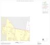 Map: 1990 Census County Block Map (Recreated): Starr County, Inset B01