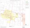Map: 1990 Census County Block Map (Recreated): Hidalgo County, Block 80