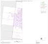 Map: 1990 Census County Block Map (Recreated): Brooks County, Inset A01