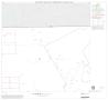 Map: 1990 Census County Block Map (Recreated): Willacy County, Block 4
