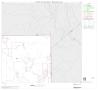 Map: 2000 Census County Block Map: McMullen County, Block 3