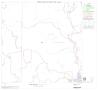 Map: 2000 Census County Block Map: Real County, Block 8