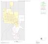 Map: 2000 Census County Block Map: Goliad County, Inset A01