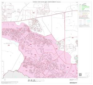 Primary view of object titled '2000 Census County Block Map: Montgomery County, Block 34'.