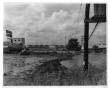 Primary view of [Photograph of Flooding on East Side of the Sabine River]