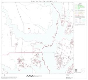 Primary view of object titled '2000 Census County Block Map: Montgomery County, Block 11'.