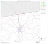 Map: 2000 Census County Block Map: Houston County, Block 2