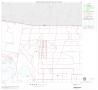 Thumbnail image of item number 1 in: '2000 Census County Block Map: Willacy County, Block 2'.