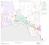 Map: 2000 Census County Block Map: Starr County, Block 20