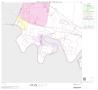 Map: 2000 Census County Block Map: Hidalgo County, Block 64