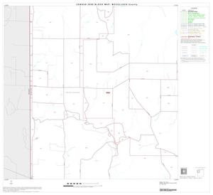 Primary view of object titled '2000 Census County Block Map: McCulloch County, Block 4'.