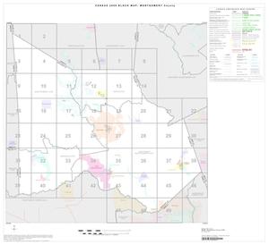 Primary view of object titled '2000 Census County Block Map: Montgomery County, Index'.