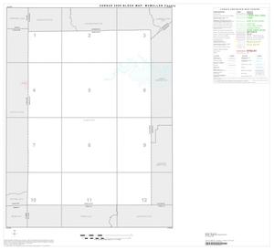 Primary view of object titled '2000 Census County Block Map: McMullen County, Index'.