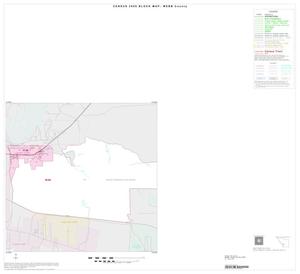 Primary view of object titled '2000 Census County Block Map: Webb County, Inset C01'.