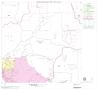 Map: 2000 Census County Block Map: Hays County, Block 13