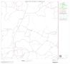 Map: 2000 Census County Block Map: Val Verde County, Block 20