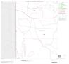Thumbnail image of item number 1 in: '2000 Census County Block Map: Bexar County, Block 56'.