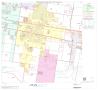 Map: 2000 Census County Block Map: Hidalgo County, Block 79