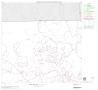 Map: 2000 Census County Block Map: Burnet County, Block 4