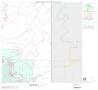 Map: 2000 Census County Block Map: Wichita County, Block 22