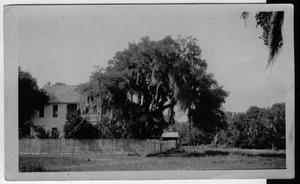 Primary view of object titled '[Home and property of A.Hartman, Cuero, Texas]'.