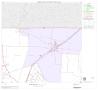Map: 2000 Census County Block Map: Frio County, Block 3