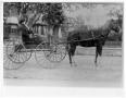 Photograph: [Two Women in a Buggy]