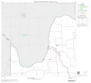 Primary view of object titled '2000 Census County Block Map: Fannin County, Block 4'.