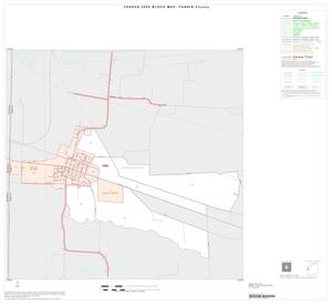 Primary view of object titled '2000 Census County Block Map: Fannin County, Inset C01'.