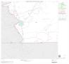 Map: 2000 Census County Block Map: Real County, Block 10