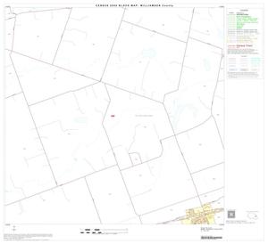 Primary view of object titled '2000 Census County Block Map: Williamson County, Block 45'.