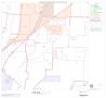 Map: 2000 Census County Block Map: Collin County, Block 17