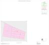 Map: 2000 Census County Block Map: Starr County, Inset D01
