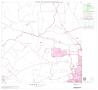 Thumbnail image of item number 1 in: '2000 Census County Block Map: Anderson County, Block 13'.