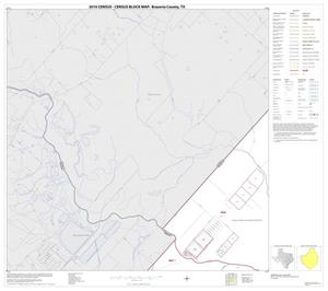 Primary view of object titled '2010 Census County Block Map: Brazoria County, Block 13'.