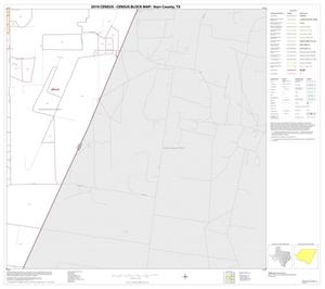 Primary view of object titled '2010 Census County Block Map: Starr County, Block 13'.