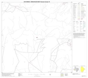 Primary view of object titled '2010 Census County Block Map: Brewster County, Block 49'.