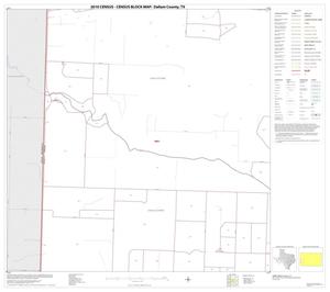 Primary view of object titled '2010 Census County Block Map: Dallam County, Block 13'.