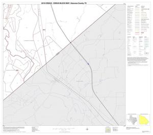 Primary view of object titled '2010 Census County Block Map: Atascosa County, Block 29'.