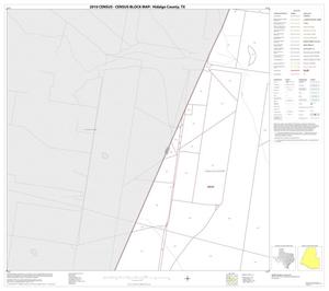 Primary view of object titled '2010 Census County Block Map: Hidalgo County, Block 47'.