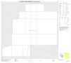 Map: 2010 Census County Block Map: Concho County, Inset C01