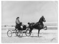 Photograph: [Woman driving a horse-drawn vehicle]