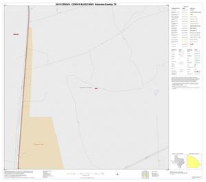 Primary view of object titled '2010 Census County Block Map: Atascosa County, Inset E01'.