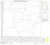 Map: 2010 Census County Block Map: Reagan County, Block 10