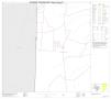 Thumbnail image of item number 1 in: '2010 Census County Block Map: Culberson County, Block 13'.