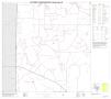 Map: 2010 Census County Block Map: Coleman County, Block 5