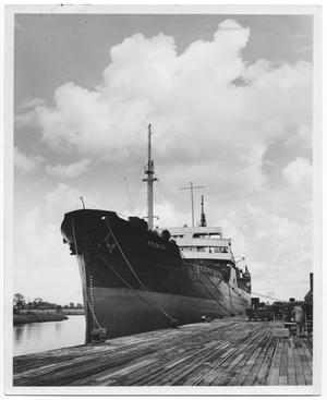 Primary view of object titled '[Photograph of R.P. Smith Ship at Orange City Docks]'.