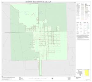 Primary view of object titled '2010 Census County Block Map: Duval County, Inset A01'.