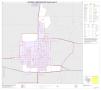 Map: 2010 Census County Block Map: Runnels County, Inset B01