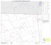 Map: P.L. 94-171 County Block Map (2010 Census): Dimmit County, Block 2